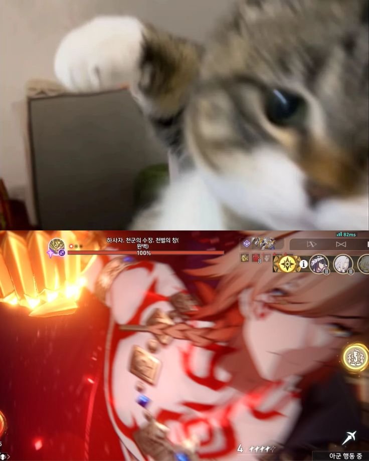 if you hurt phainon... here's what you should expect! #phaidei