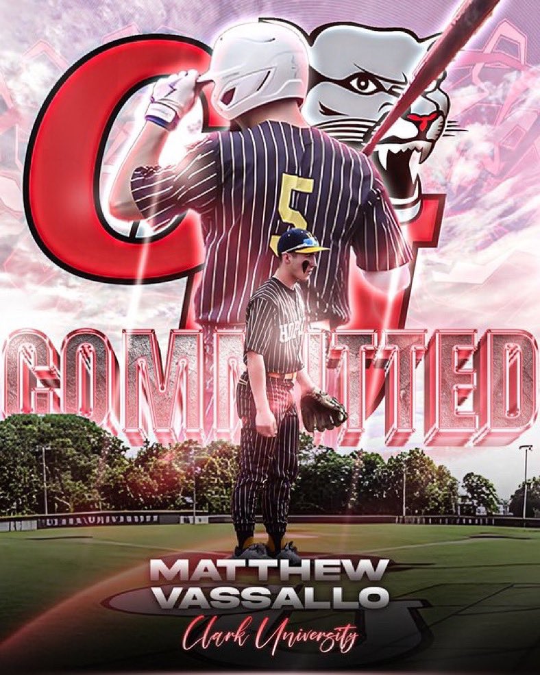 matthew vassallo tweet media