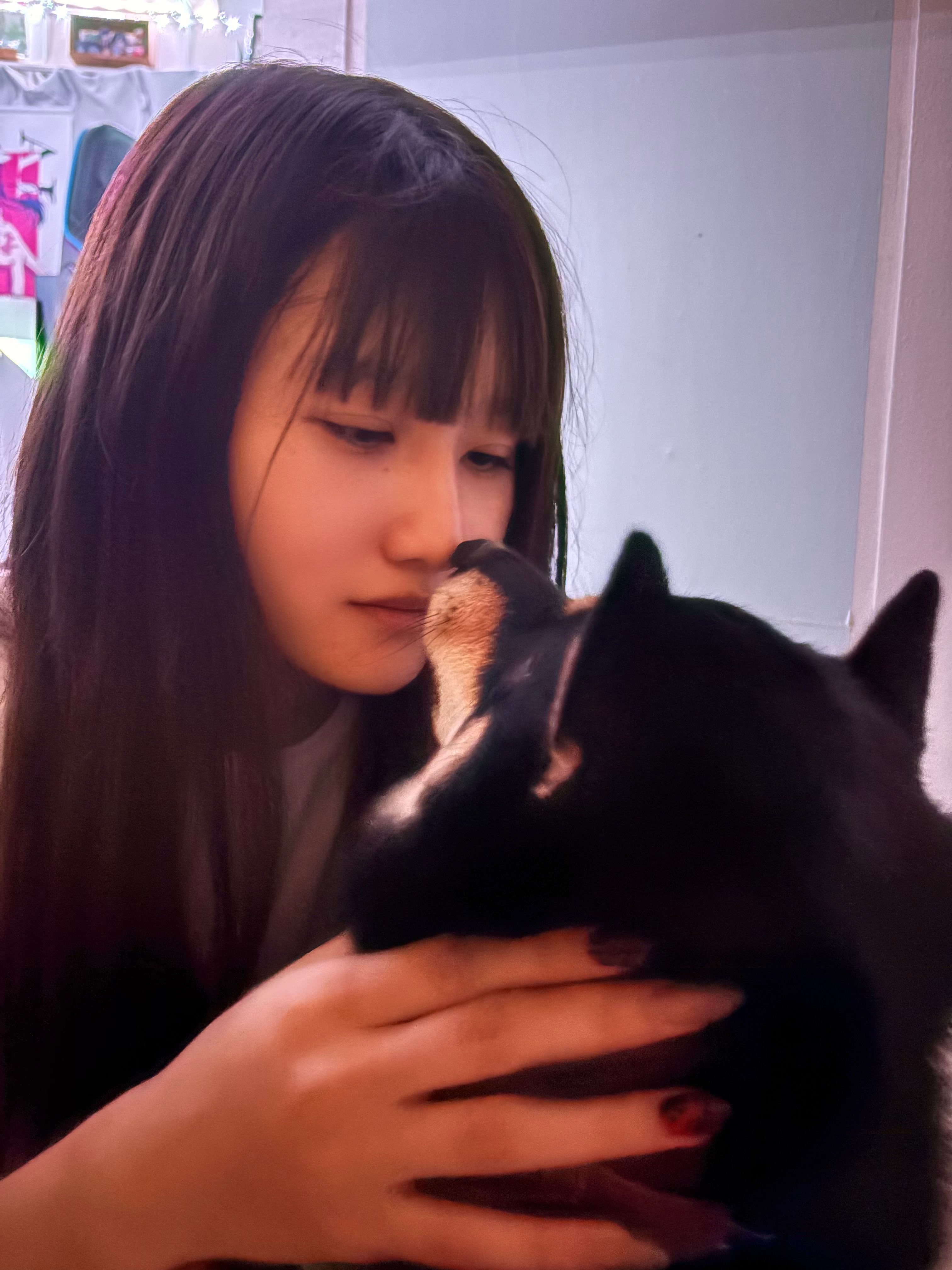 いちご♡ 40/20コーマミニ裏毛 ミニョンフレーズ/ ペールピンク - ニット