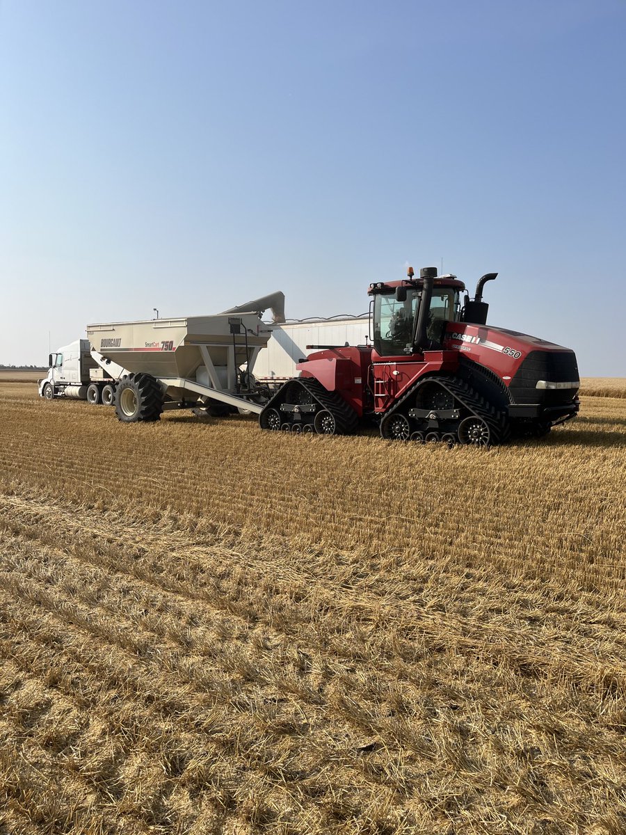 Oh hell, we’ll just make up for in volume #AgX