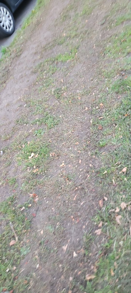 Gergaroth's tweet photo. I see @LBofBromley remains firmly committed to their hateful campaign against anything green or pleasant

Why trim the verge when you can reduce it to a dustbowl.. https://t.co/looUbAThMA