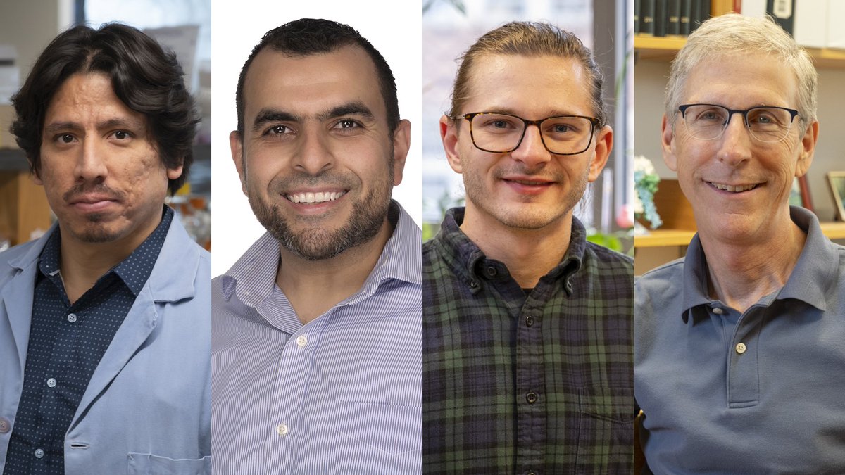 Princeton MolBio tweet media