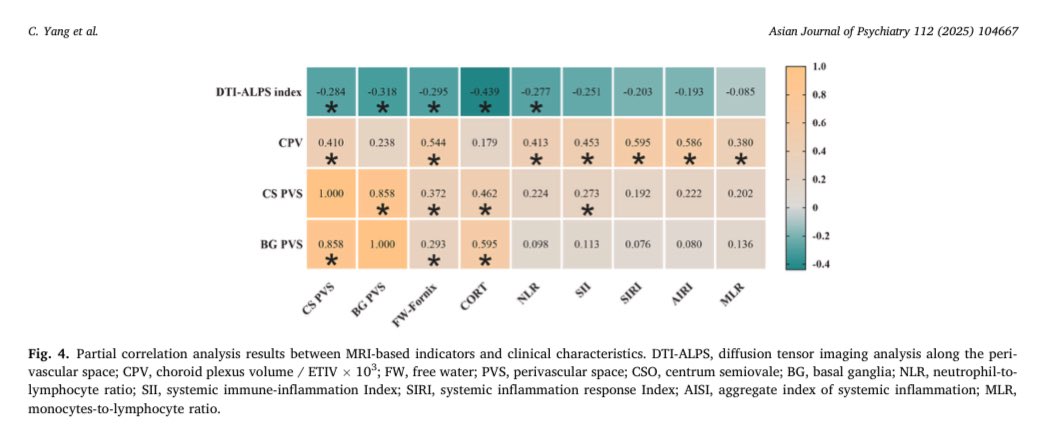 New in AJP: MRI measures of brain waste-clearance (DTI-ALPS, CP volume, EPVS) link high cortisol to worse depression and inflammation in older adults with MDD. Read: sciencedirect.com/science/articl… #MDD #GlymphaticSystem #MRI #OpenAccess