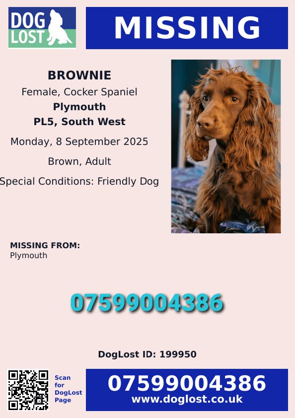 MissingPetsGB's tweet image. 🐕 BROWNIE is missing.
2 year old female chocolate cocker spaniel escaped today 8 September from home about 12pm in St Peters Road area #Plymouth #Devon #PL5
She is microchipped &amp;amp; was wearing a red collar with red bandana. 
Anyone sees her or finds her please contact asap.