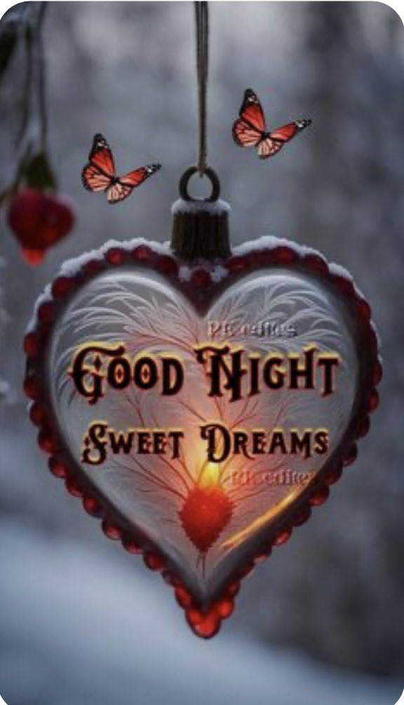 Enjoy games. Good night

#BBNaija #Sultana #LaCasaDeLosFamososMx #nufc #CFC #BCFC #dcfc