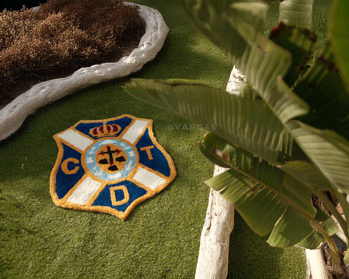 De todas las cosas que pensé que haría en la vida… una alfombra del Tete no estaba en la lista 😅
Un amigo me retó a crearlo para su jardín, sin tener ni idea por dónde empezar investigué y tras muchas horas salió esto.
No es perfecta, pero estoy contento con el resultado 🤍💙