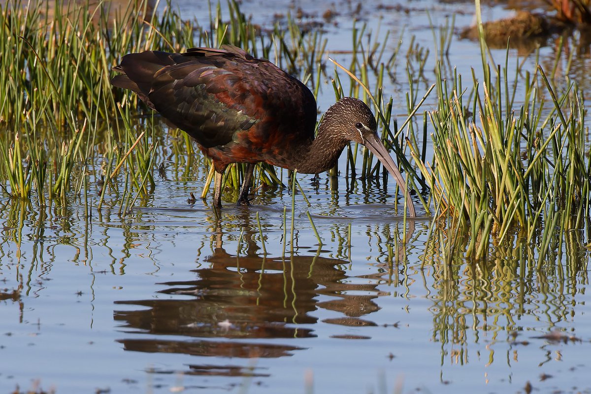 Mark Tyrrell tweet media