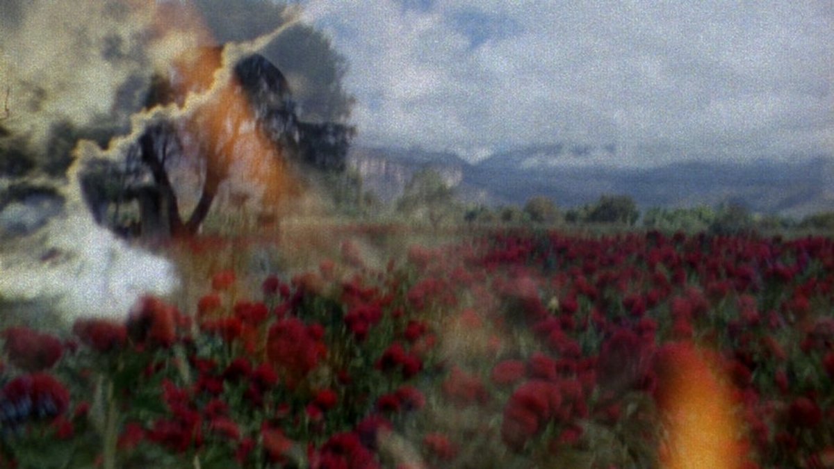 Mis querellas con la lista original:

1) ¿Les dijeron a los votantes que Latinoamérica también participaba?
2) De Mekas no pueden postear hasta el pedo que se tiró, un poco de mesura xiques 
3) Markopoulos, Dorsky, Hernández, caseritos, pero quién ha visto sus películas en vivo?