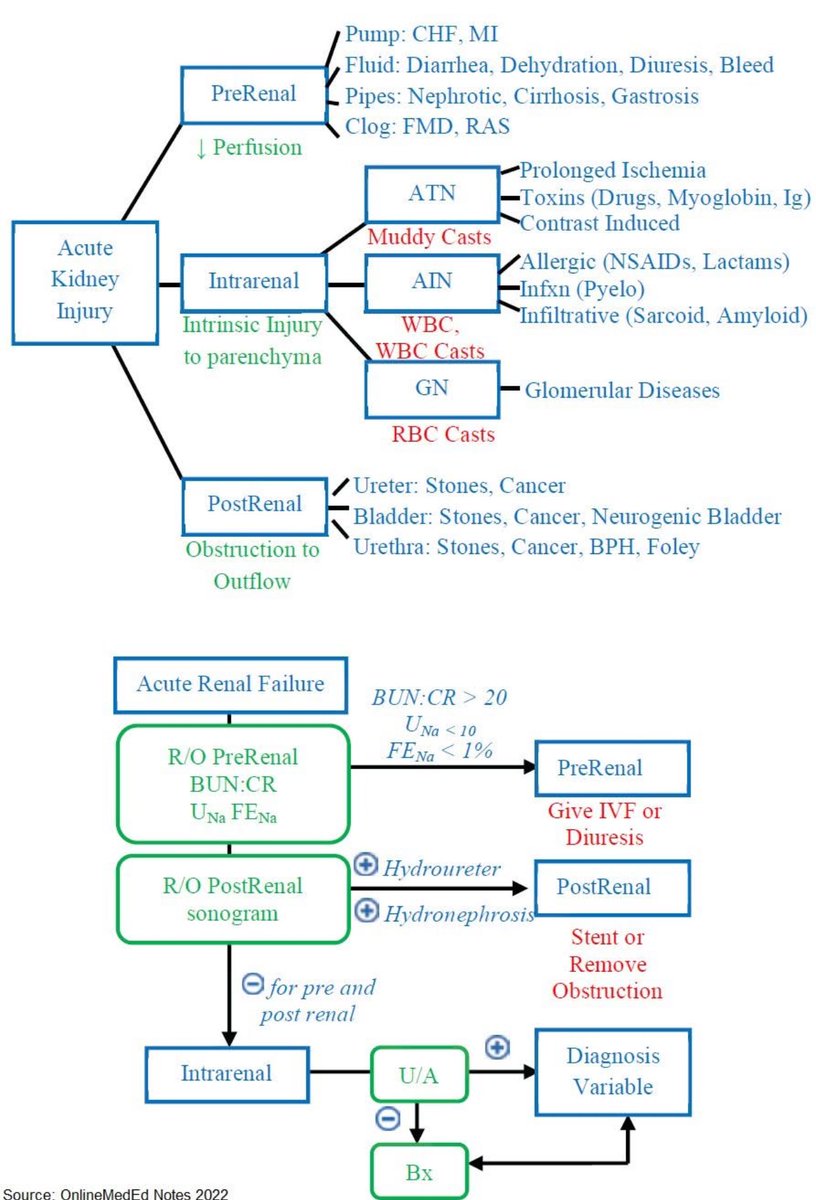 Acute Kidney Injury (AKI) - Causes and Differential Diagnosis
#UOfjeddah #MedicineUJ