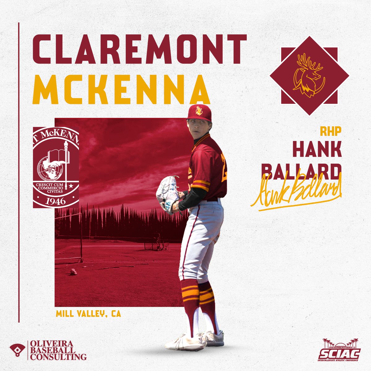 Oliveira Baseball Consulting tweet media