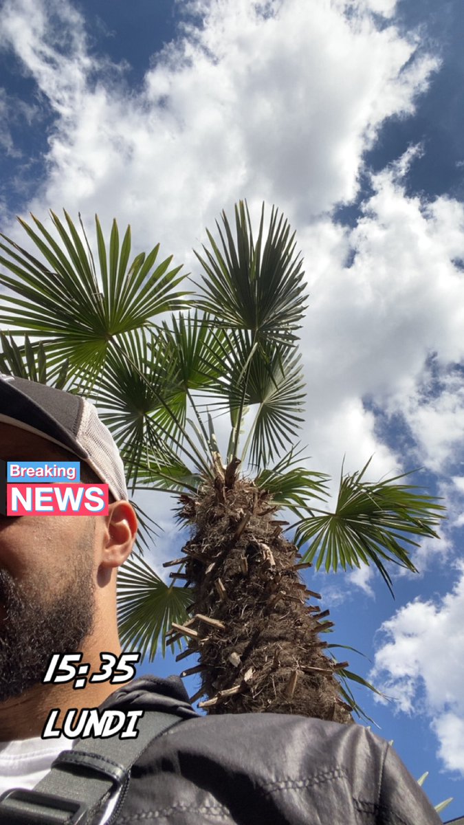 Clmz75's tweet photo. Journée bien chill ☀️ https://t.co/tHPBCxlwPV