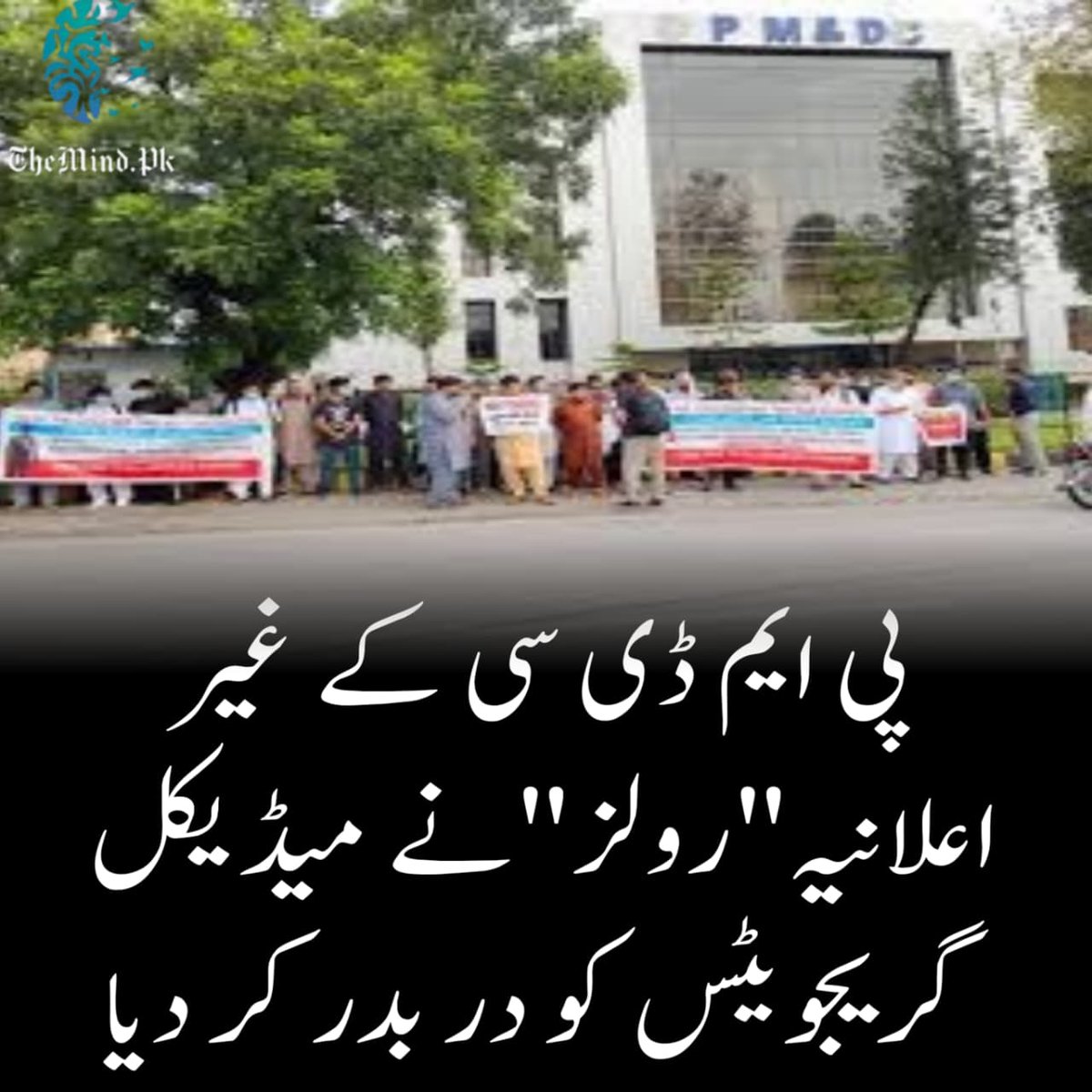 Themind Pk tweet media