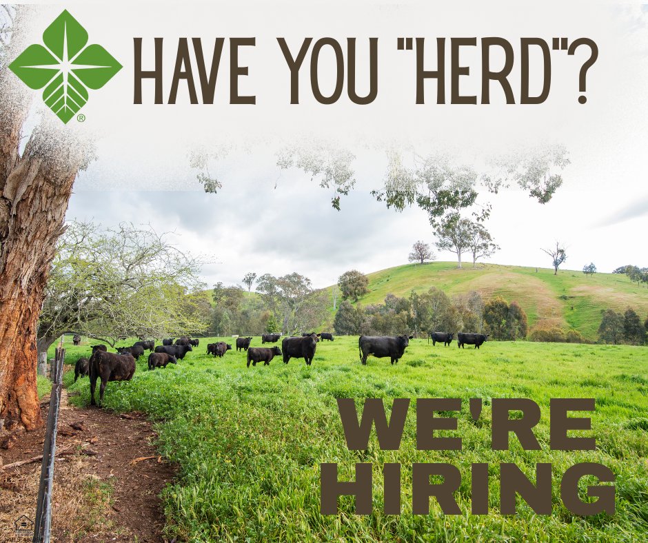 Turn your passion for farming and the ag community into a career!
Here at RVAC, we have an opportunity for an Ag Loan Officer to be the resource for farmers in and around Cleveland, TN, to grow, expand, and flourish in their operations!  
Apply below.
eozs.fa.us6.oraclecloud.com/hcmUI/Candidat…