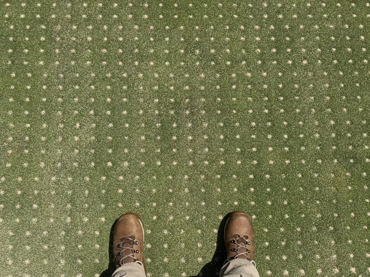 GRNS are healing up nicely after just a few days of recovery w/ some perfect growing conditions here in the mitten state! Aggressive VCut X2 this morning to “sew together” the surfaces &amp; redistribute some sand into turf canopy &amp; rootzone. #GLCC #FirmandFast #DilutionIsTheSolution