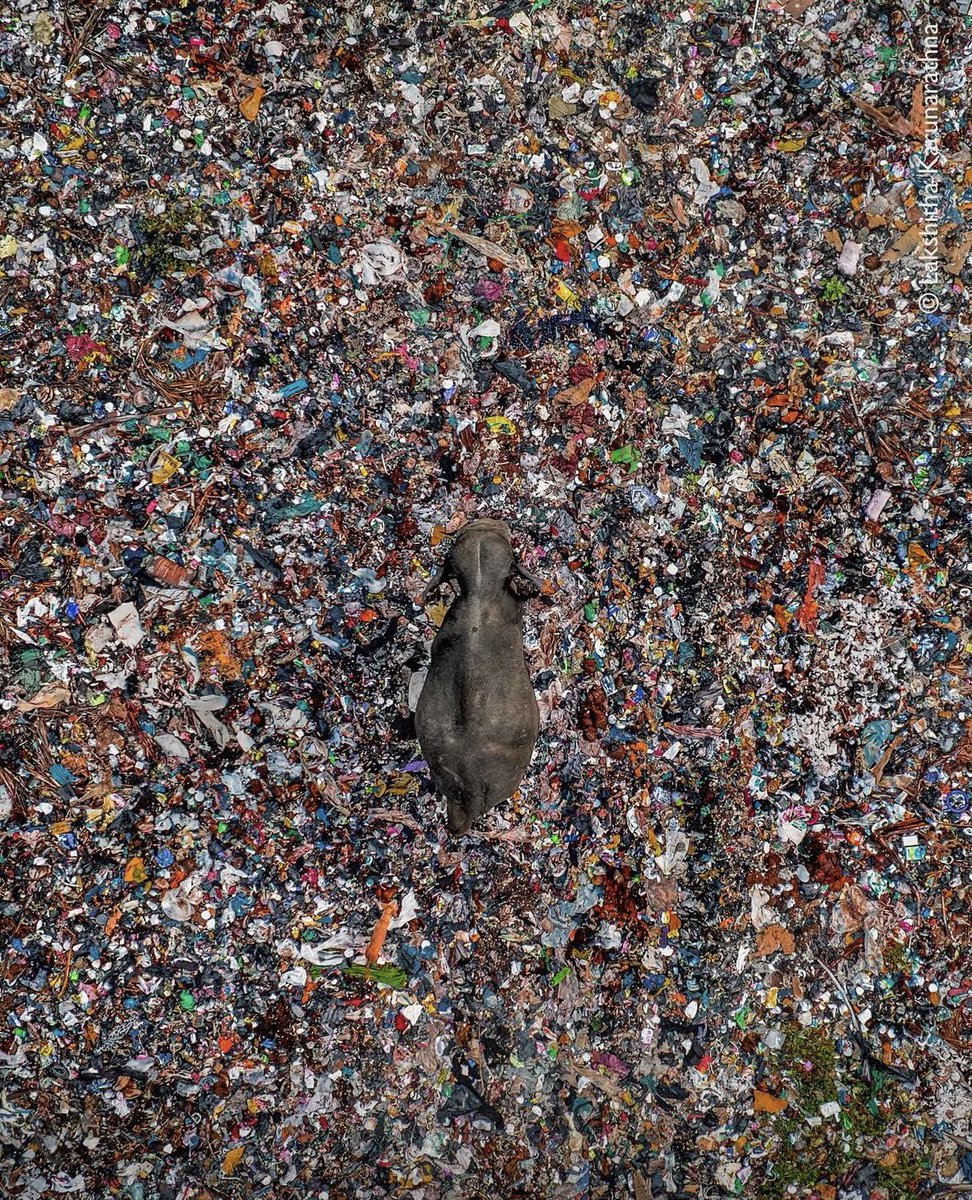 Orléans Zéro Plastique tweet media