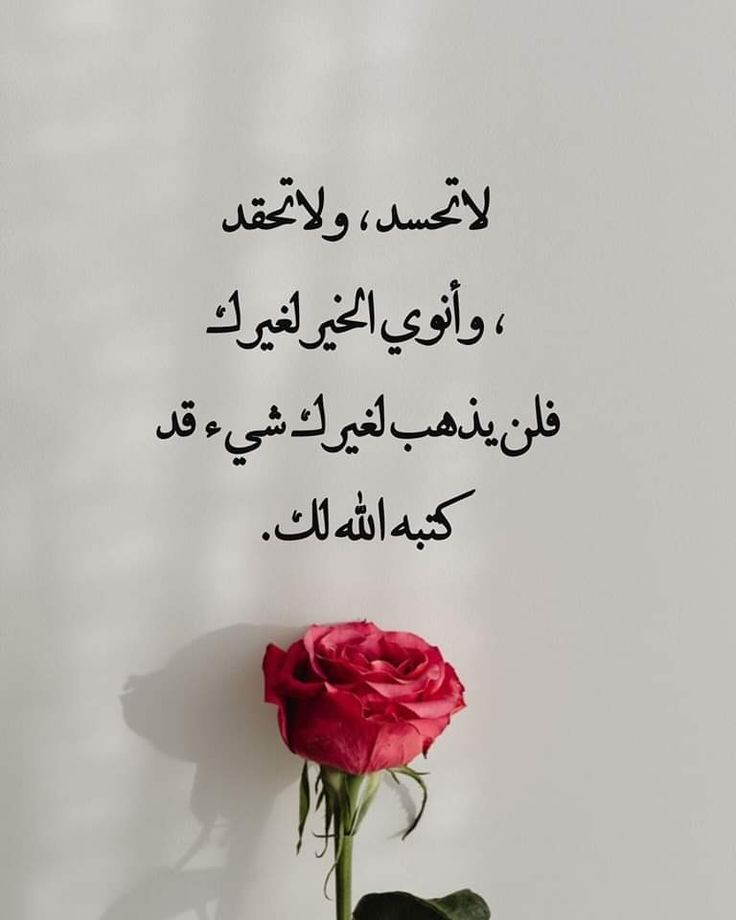 هُدُوء | سُكُون (@wn194) on Twitter photo 