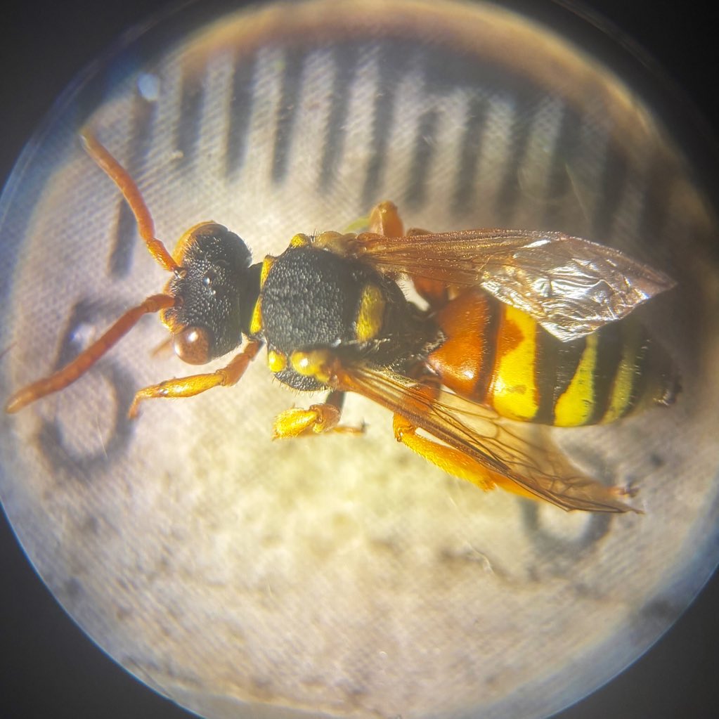 Dr Juliet Turner tweet media