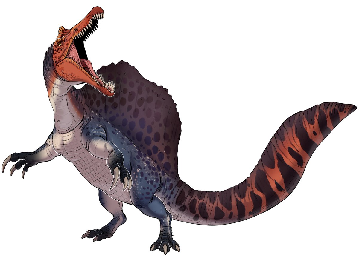 ⟡ Spinosaurus⟡