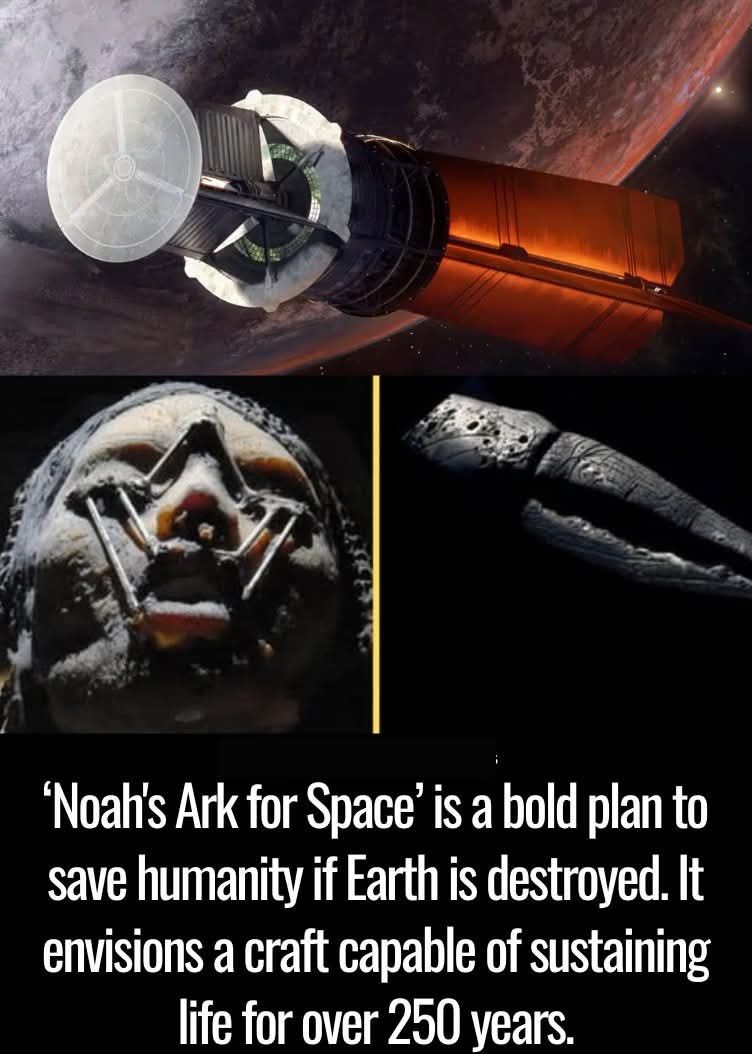 MajorWHowell's tweet photo. If they can build a 'Noah's Ark for Space' to survive for 250+ years ๐๐ฝ among the stars โจ, they could totally fix traffic jams ๐๐ on Earth... God is laughing at our priorities ๐๐ #NoahsArkForSpace #SpaceIsHard #EarthIsHarder #GodLaughs #SpaceHumor #FixTrafficFirst ๐๐ https://t.co/Poxqiim3hc