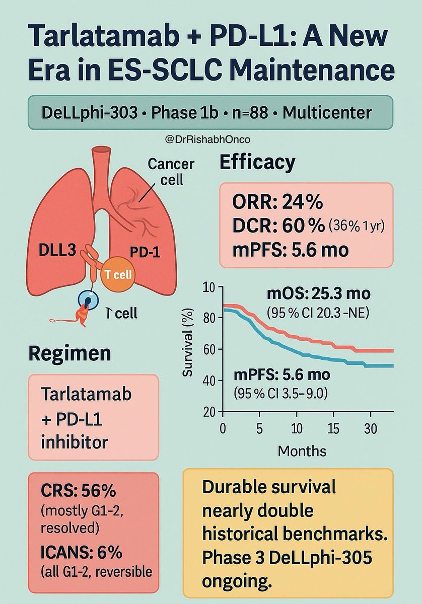 🧩 Is tarlatamab the missing piece in frontline ES-SCLC?

📊 Trial: DeLLphi-303 (Phase 1b, n=88, multicenter)

🧬 Regimen: Tarlatamab (DLL3×CD3 bispecific) ➕ PD-L1 inhibitor (Atezolizumab / Durvalumab)

⚡ Setting: First-line maintenance after platinum–etoposide + PD-L1

👥