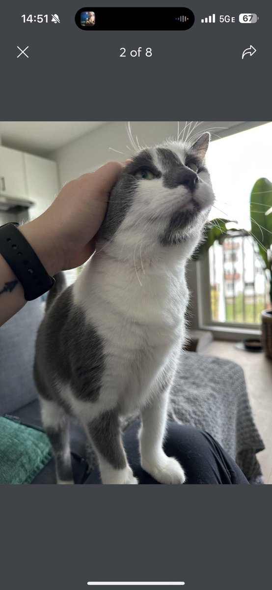 𝑷𝒓𝒚 tweet media