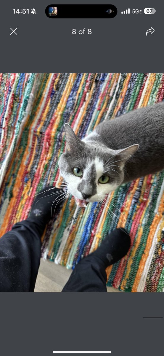 𝑷𝒓𝒚 tweet media