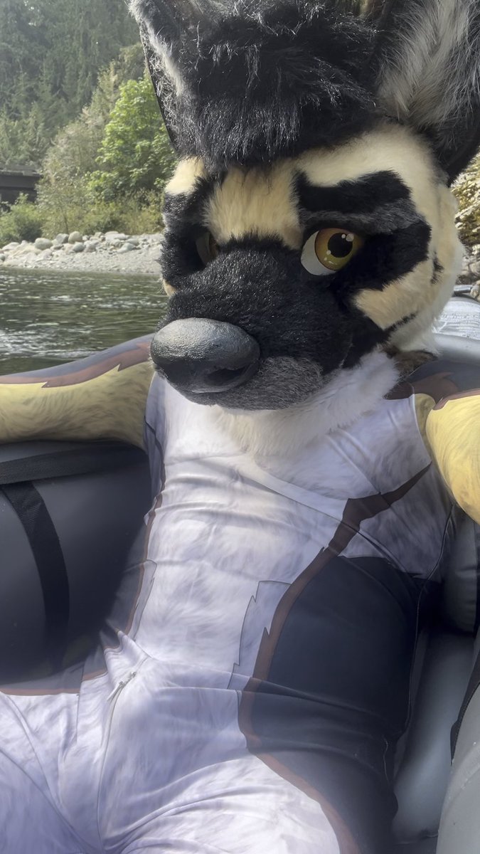 Nope.. Ain’t hiding nothing at all 😳😅
Maybe just a beer and inflatable toy 😏

#murrsuitmonday #petsuit #fursuit