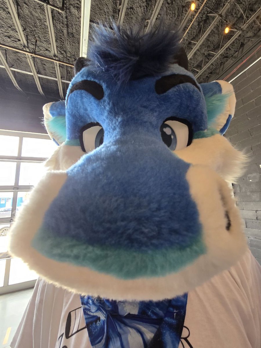 🐲 FluffyCyritz tweet media
