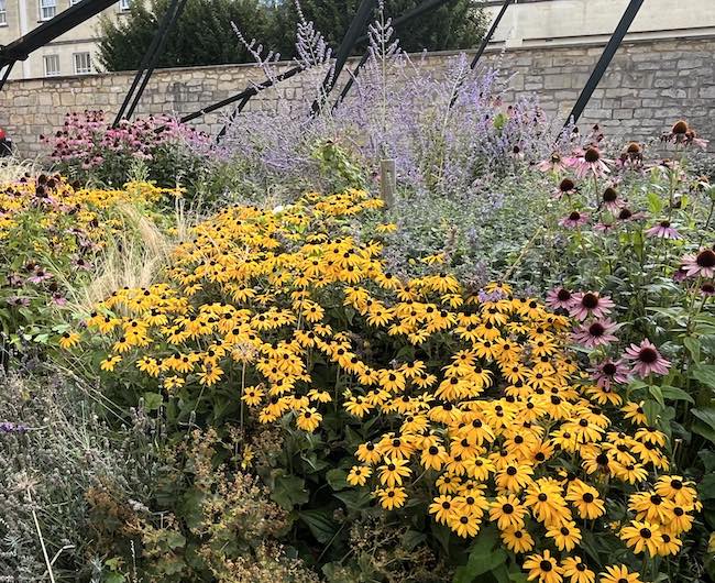 MyGardenTeam's tweet photo. 🌿 Gift the joy of gardening! The GardenAdvice £75 Gift Voucher pairs perfectly with their one‑day gardening 
Unlock a flourishing garden today → https://t.co/WpUPMshKig https://t.co/NJ75MxbDED