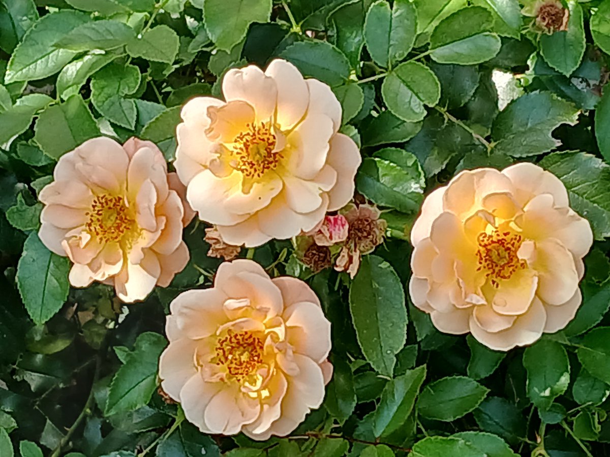 Rachel Hayward (@ralrachel) on Twitter photo 