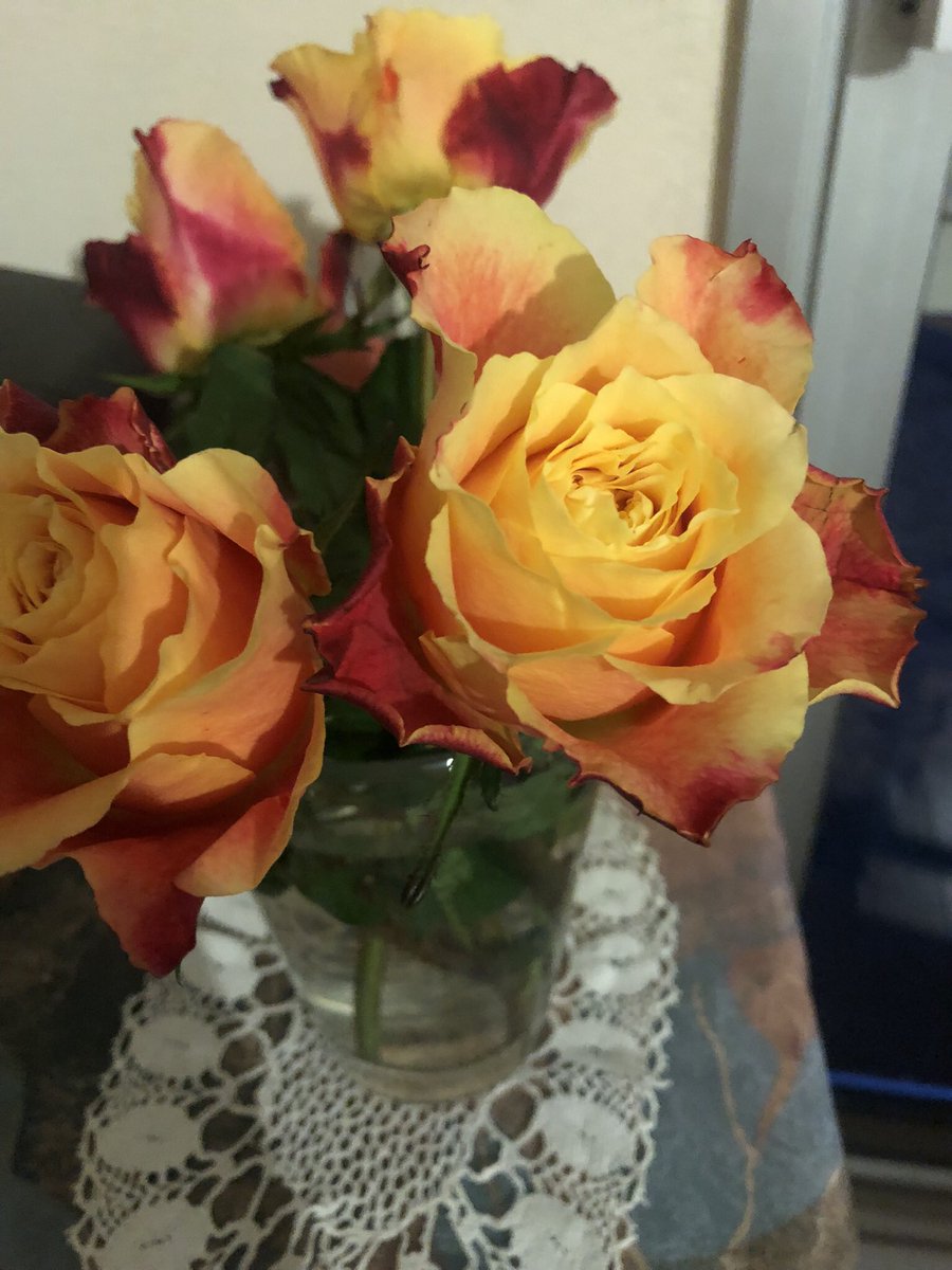 gerborahm♦️ tweet media