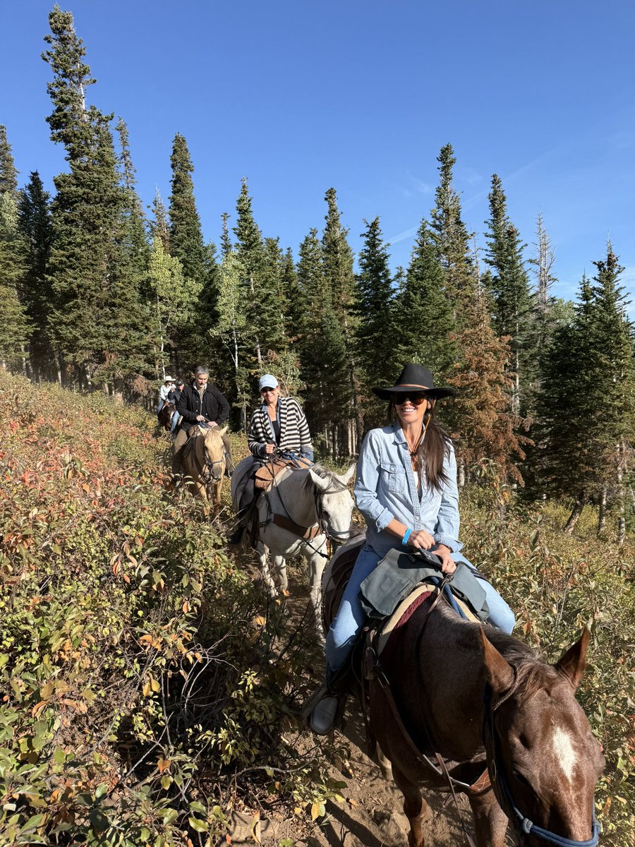 KellyLSoderlund's tweet image. Morning commute 🐴