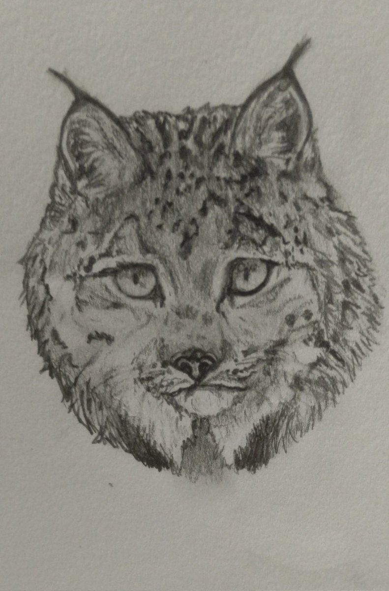 roi 🧊🌱 tweet media