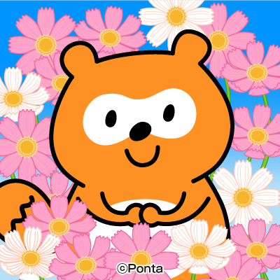 Ponta (@Ponta) / X