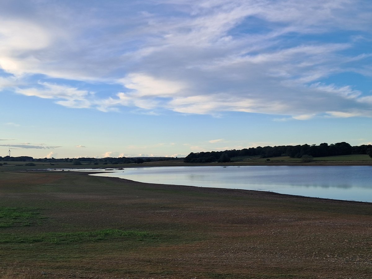 Phil Andrews (@pmandrews1973) on Twitter photo Fantastic last hour of light at Blithfield in Blithe Bay - 13 Curlew Sand, 15 Common Sand, 4 Ruff, 2 Greenshank, c25 Dunlin, 10 LRP, 2 Snipe, upwards of 100 Ringed Plover, 1 Redshank, female Pintail, GWE, 12 Goosander, GBBG, 5 Wheatear, Tawny Owl
<a href="/Staffsbirdnews/">Staffs Bird News</a> Fantastic last hour of light at Blithfield in Blithe Bay - 13 Curlew Sand, 15 Common Sand, 4 Ruff, 2 Greenshank, c25 Dunlin, 10 LRP, 2 Snipe, upwards of 100 Ringed Plover, 1 Redshank, female Pintail, GWE, 12 Goosander, GBBG, 5 Wheatear, Tawny Owl
<a href="/Staffsbirdnews/">Staffs Bird News</a>