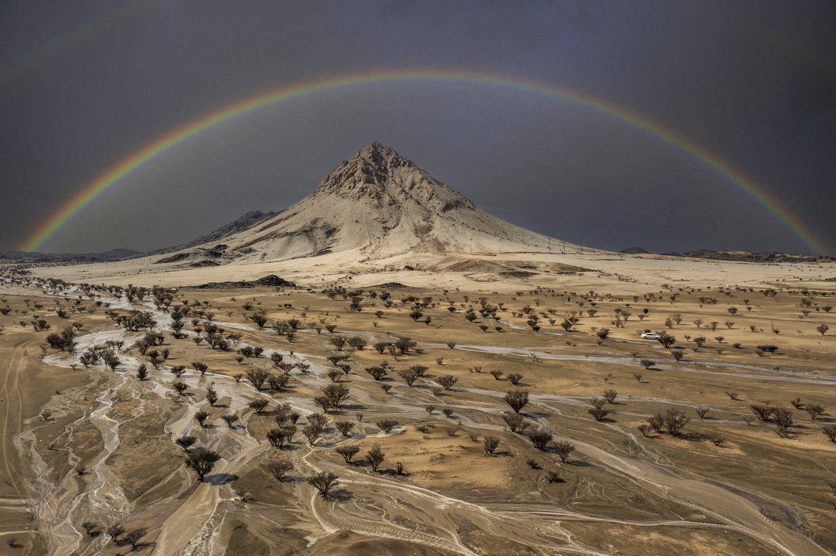 sayafdashen's tweet image. #بيشة 2024