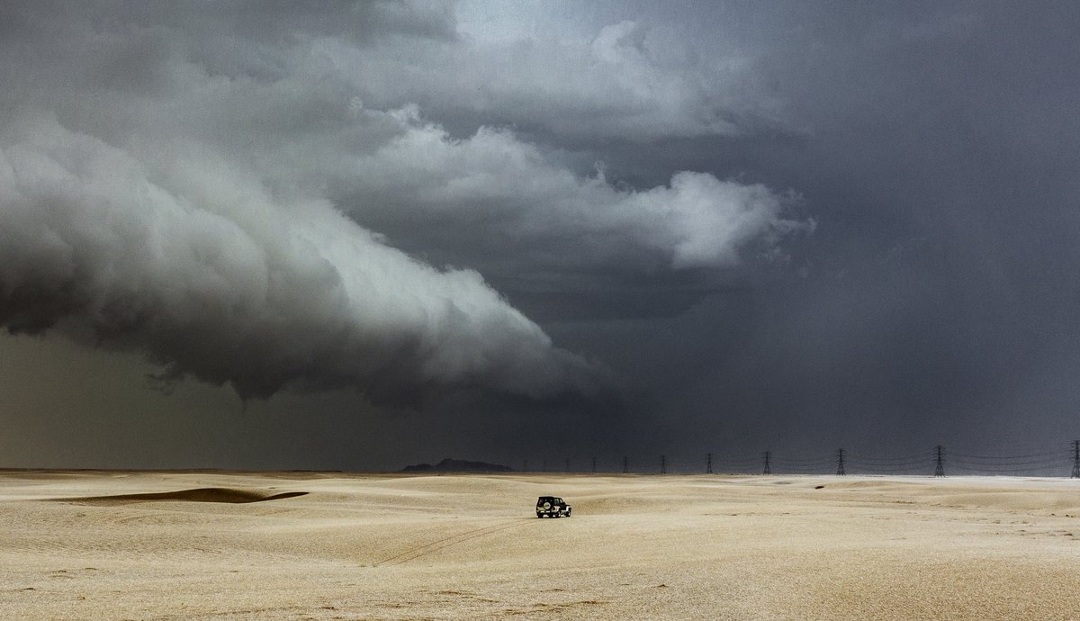 sayafdashen's tweet image. #بيشة 2024