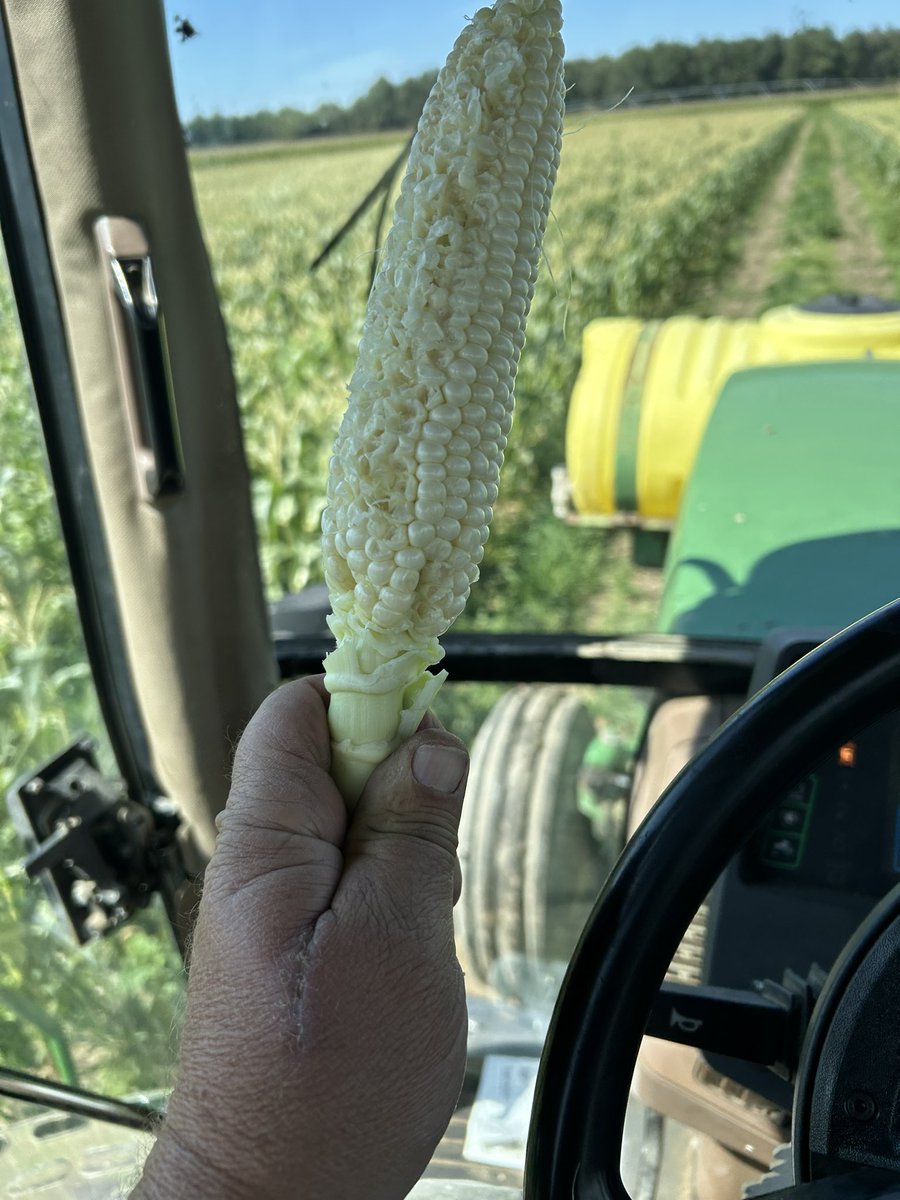 Charles Wright IV tweet media