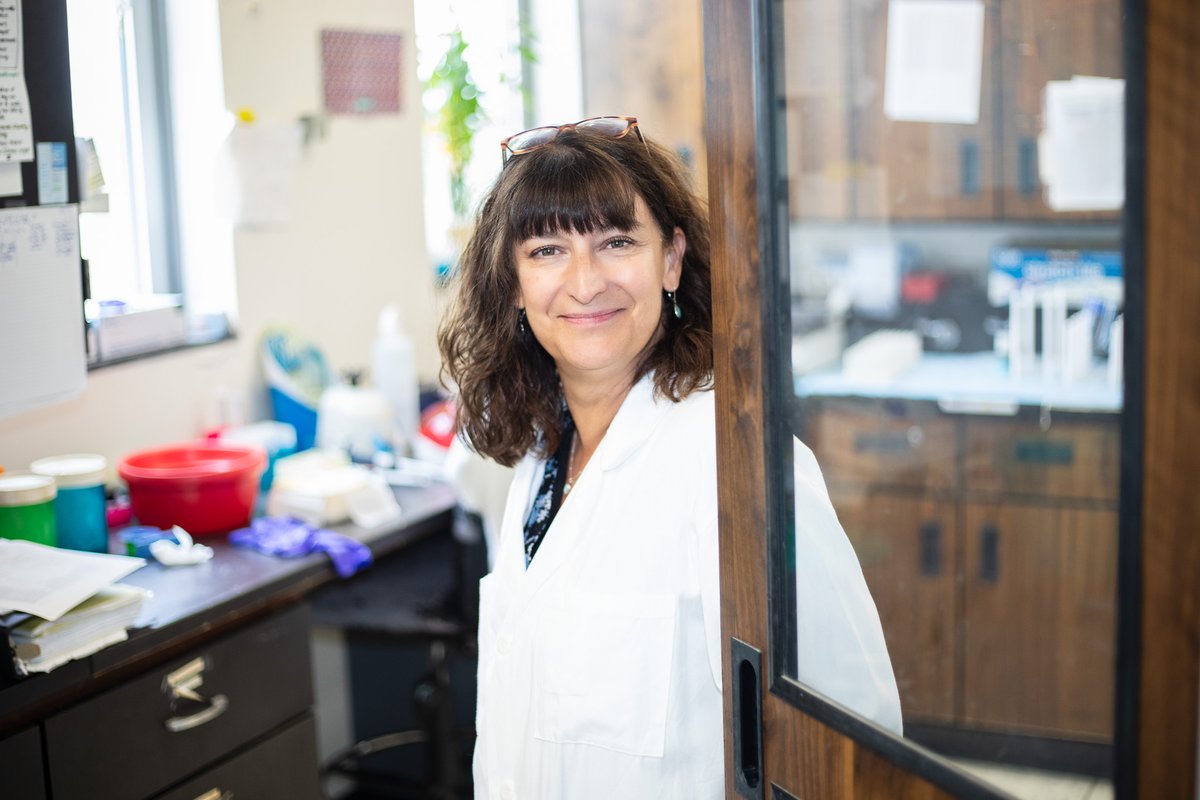 ECUBrodySOM's tweet image. Congratulations Drs. Isabelle Lemasson and Nick Polakowski for your @NIH  grant award of $224,000 for your work on human T-cell leukemia virus type 1 (HTLV-1). “This project was initially funded by the Brody Brothers Endowment grants,” Lemasson said.