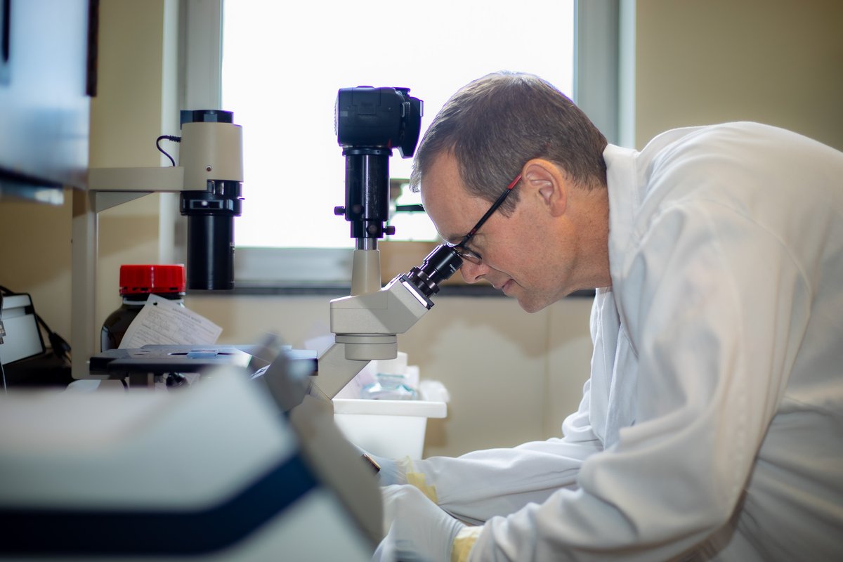 ECUBrodySOM's tweet image. Congratulations Drs. Isabelle Lemasson and Nick Polakowski for your @NIH  grant award of $224,000 for your work on human T-cell leukemia virus type 1 (HTLV-1). “This project was initially funded by the Brody Brothers Endowment grants,” Lemasson said.