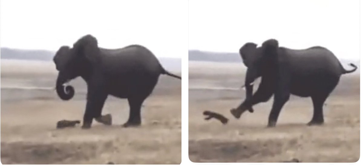 Edavārdi tweet media