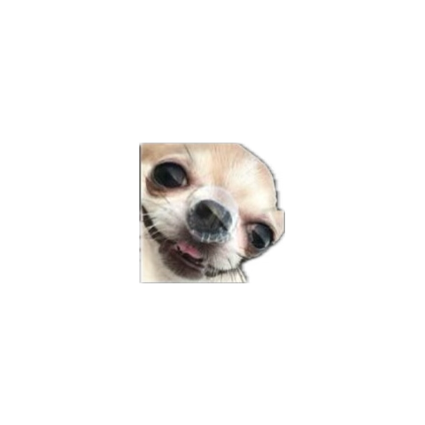 Caitlin👹 tweet media