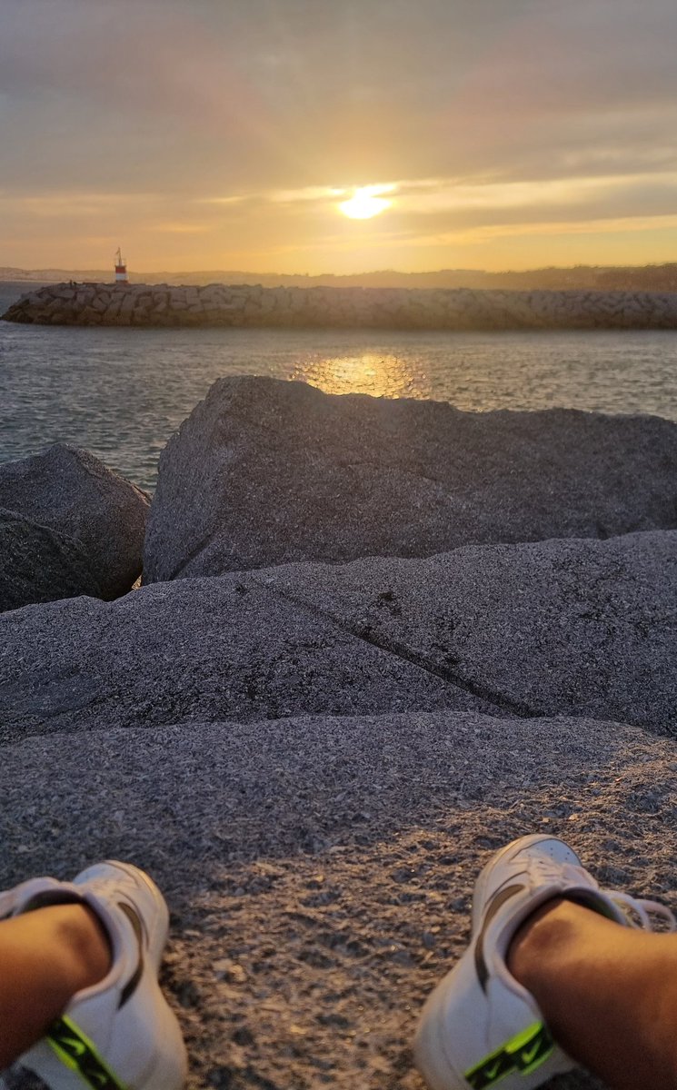 Bruno Duarte tweet media