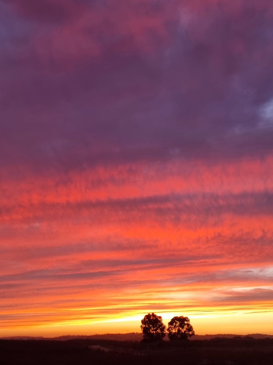 Bruno Duarte tweet media