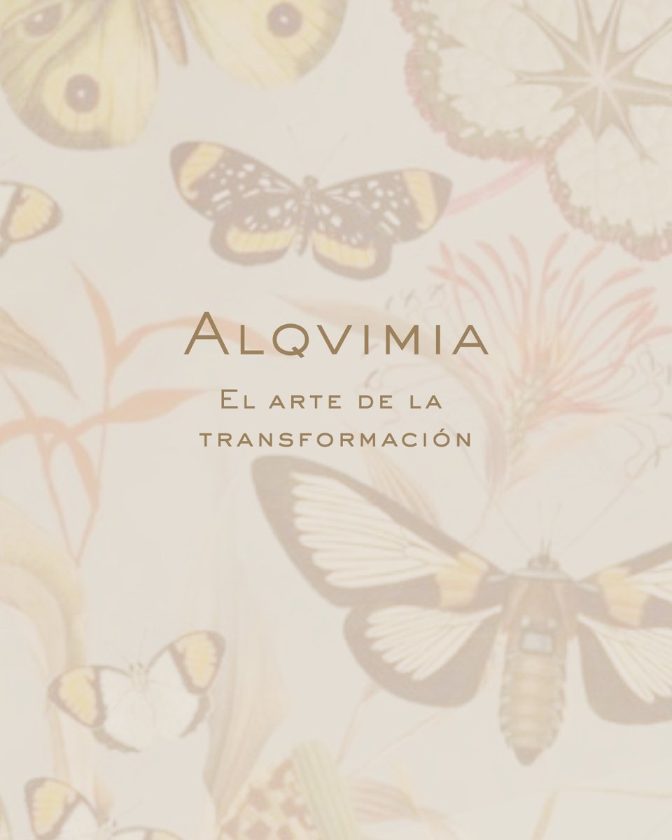 UAlqvimia's tweet photo. La Alqvimia es transformación.

Es el arte de sostener un proceso con calor lento e ininterrumpido, mediante disciplina y constancia, donde se transforma lo denso: todo aquello que nubla la claridad y nos limita.

#UniversidadDeLaAlqvimia
(1/4) https://t.co/GdYfEQKICK
