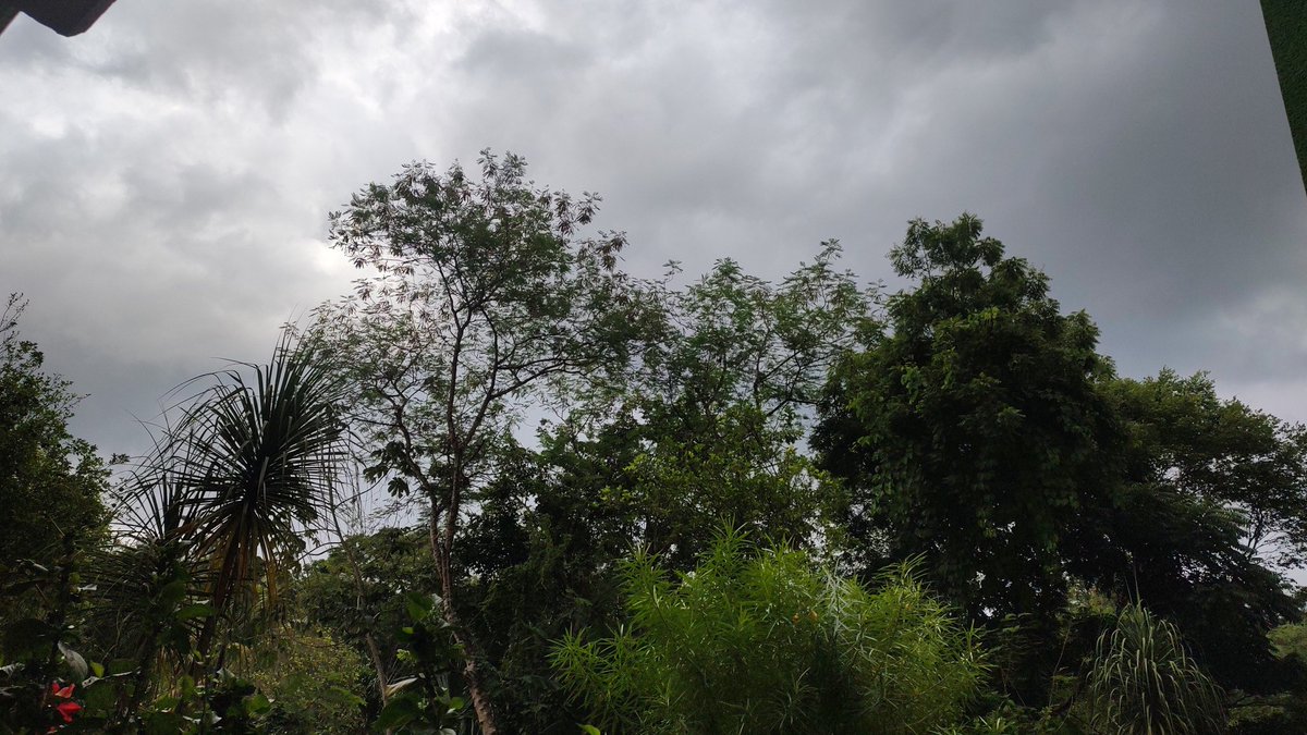 EncuentroMaya's tweet photo. @PCivilCancun Se nubla el cielo de JMM. https://t.co/NwvY0HF0qW