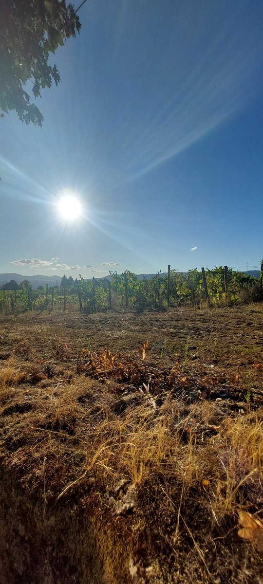 "E neste instante mágico, onde o dia se finda,
A gratidão invade o coração, serena e profunda.
Pois em Trás-os-Montes, a cada pôr do sol,
A alma se renova, e a esperança se afunda."