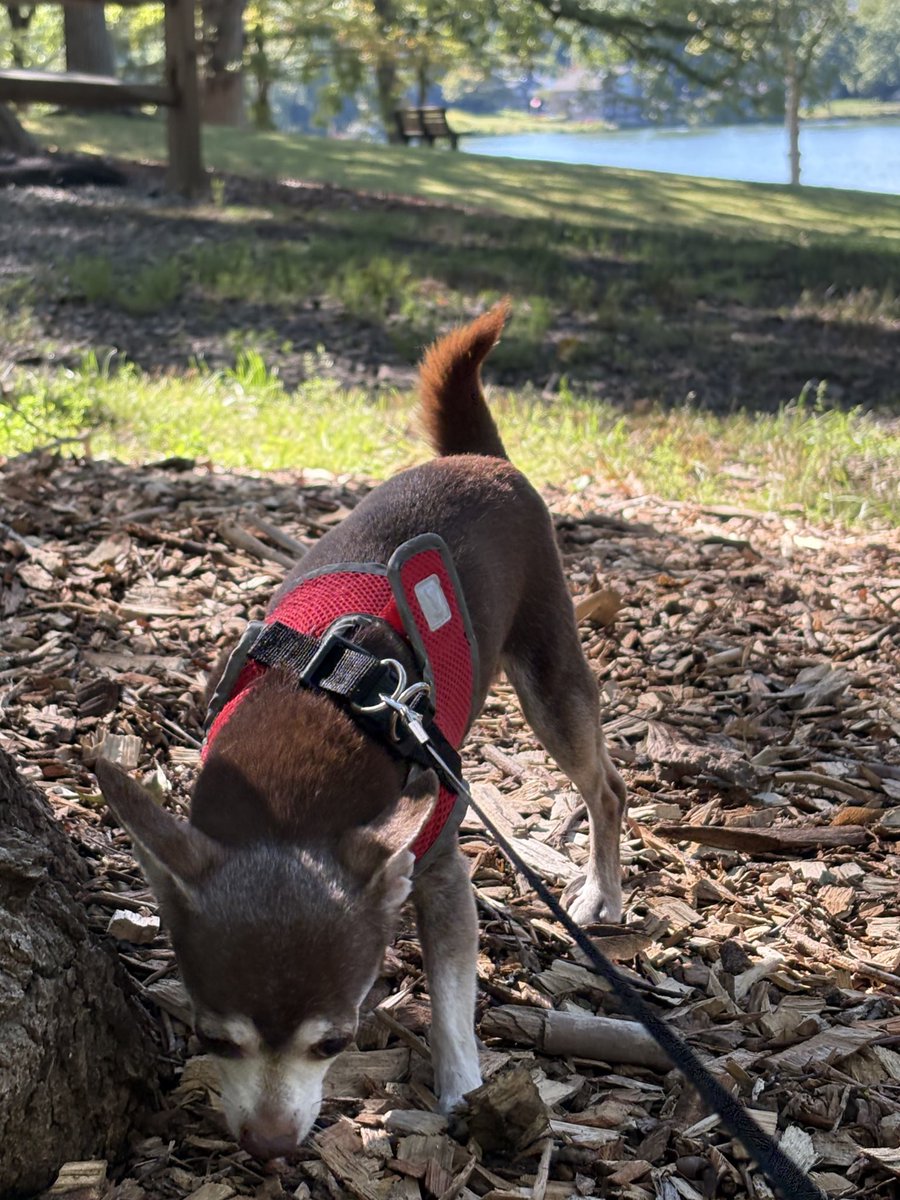 Mommy is home and the lake is not frozen yet…
