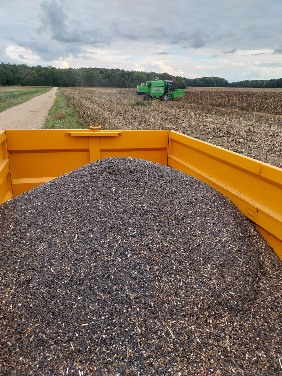 Il y a des jours que tu n'oublie pas,  encore plus quand tu fais la même activité chaque année.
08/09/2017 🚑🩸💉🌟🌟🌟
La vie continue avec une autre vision mais toujours l'envie de cette #agriculture et de ces machines.