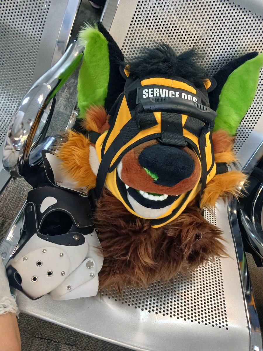 Whoever it was that stopped me at the cleveland airport to ask about my suit &amp; went on about how much you admire the furry fandom; I fucking love you 🫶🏻